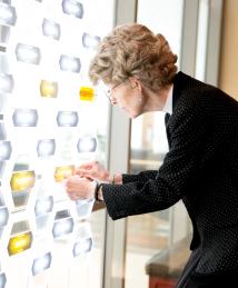 Mary-Dell Chilton at the National Inventors Hall of Fame Illumination Ceremony