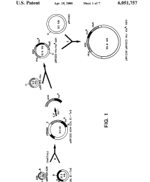 U.S. Patent No. 6,051,757