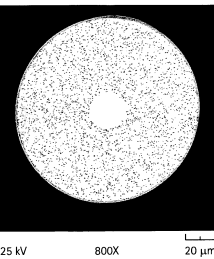 U.S. Patent No. 7,450,806