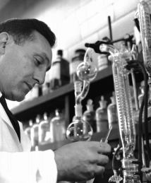 Dr. Novello, organic chemist, working in the laboratory. West Point, PA facility