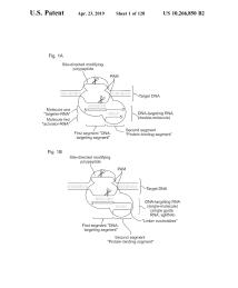 U.S. Patent No. 10,266,850