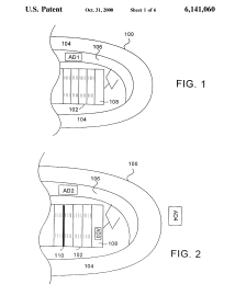 U.S. Patent No. 6,141,060