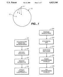 U.S. Patent No. 6,023,540