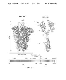 U.S. Patent No. 10,960,070